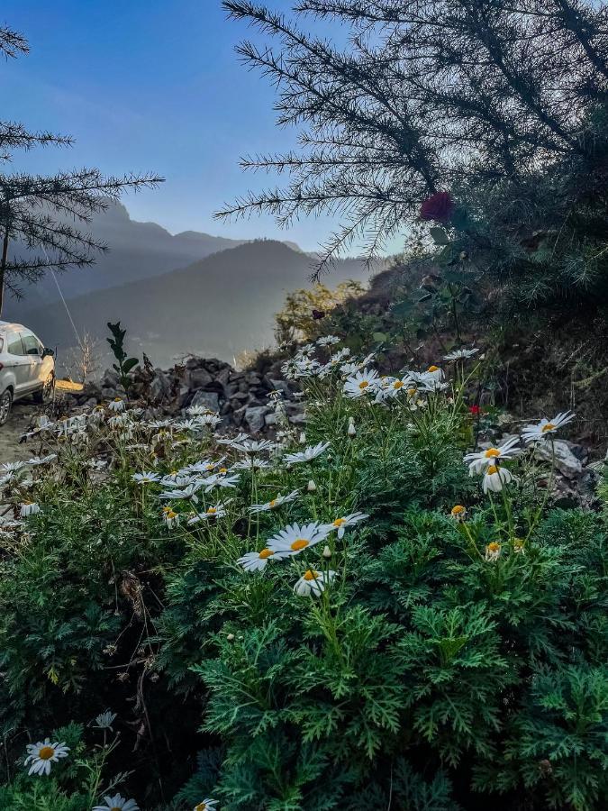The Void - Tirthan Valley Gushaini Exterior foto